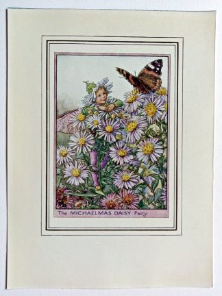 Michaelmas Daisy Fairy Print