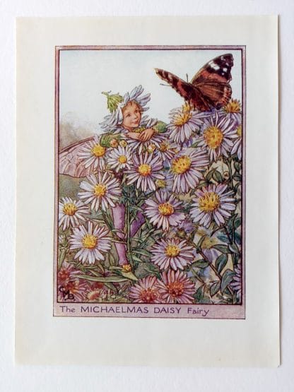 Michaelmas Daisy Flower Fairy Print