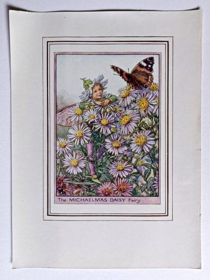 Michaelmas Daisy Vintage Fairy Print