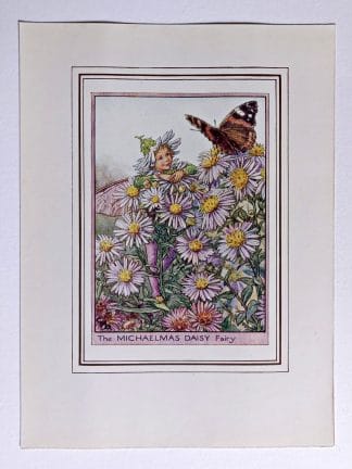Michaelmas Daisy Vintage Flower Fairy Print