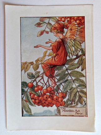 Mountain Ash Vintage Fairy Print