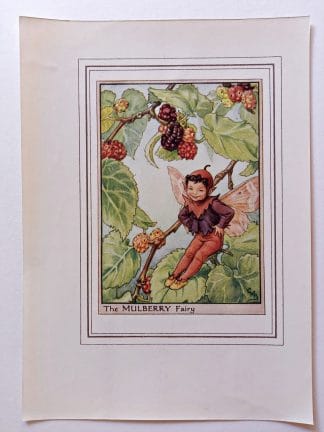 Mulberry Fairies Print
