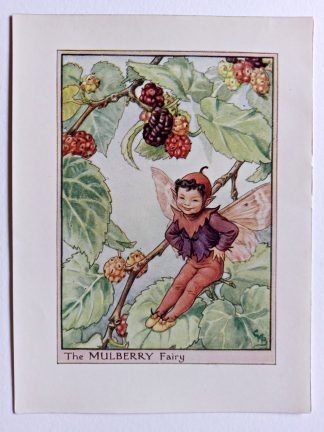 Mulberry Flower Fairy Print