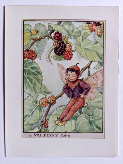 Mulberry Flower Fairy Print