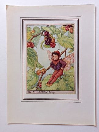 Mulberry Vintage Fairy Print