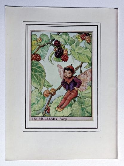 Mulberry Vintage Flower Fairy Print
