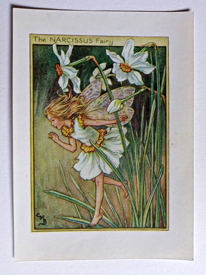 Narcissus Fairies Print