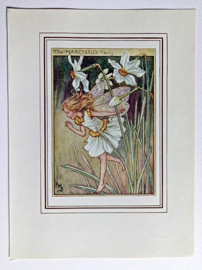 Narcissus Fairy Print