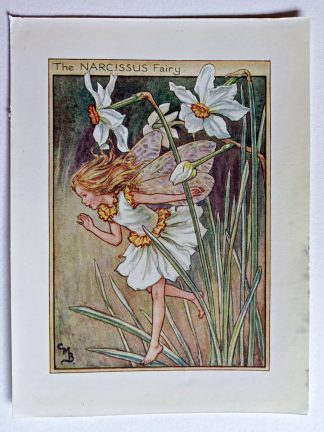 Narcissus Vintage Fairy Print