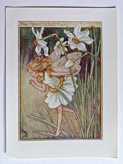 Narcissus Vintage Flower Fairy Print