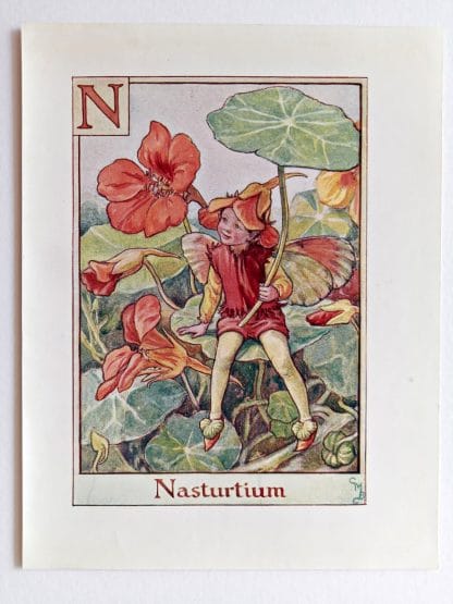Nasturtium Fairy Print
