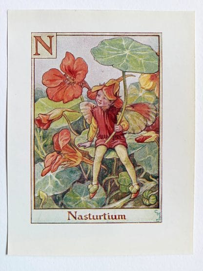 Nasturtium Flower Fairy Print