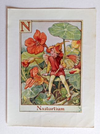Nasturtium Vintage Flower Fairy Print