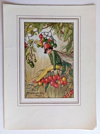 Nightshade Berry Fairies Print