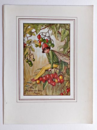 Nightshade Berry Fairy Print