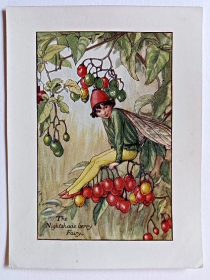 Nightshade Berry Flower Fairy Print