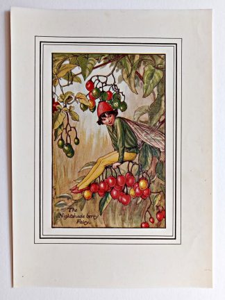 Nightshade Berry Vintage Fairy Print