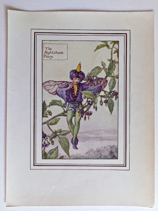 Nightshade Fairies Print