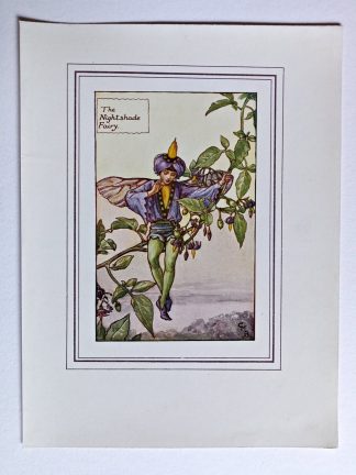 Nightshade Fairy Print