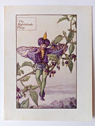 Nightshade Flower Fairy Print