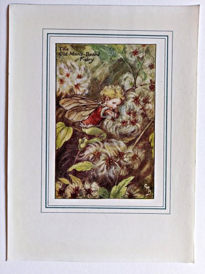 Old Mans Beard Vintage Flower Fairy Print