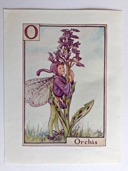 Orchis Fairies Print