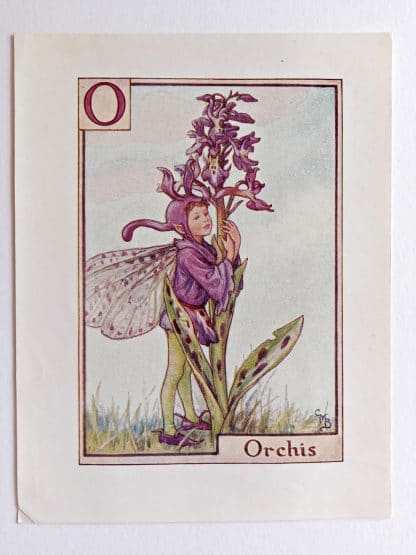 Orchis Fairy Print