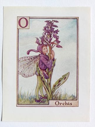Orchis Flower Fairy Print