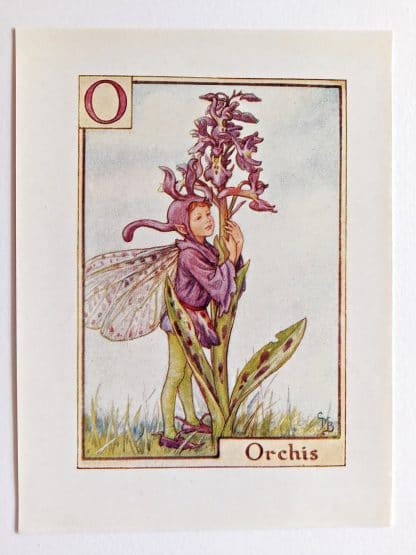 Orchis Vintage Fairy Print