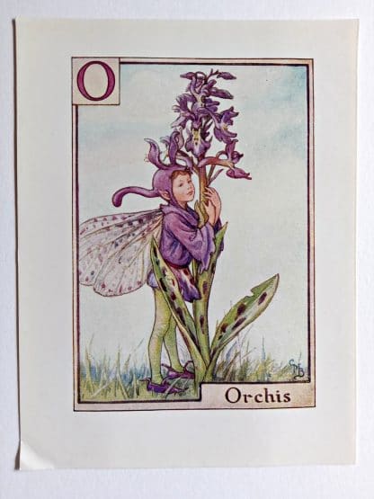 Orchis Vintage Flower Fairy Print