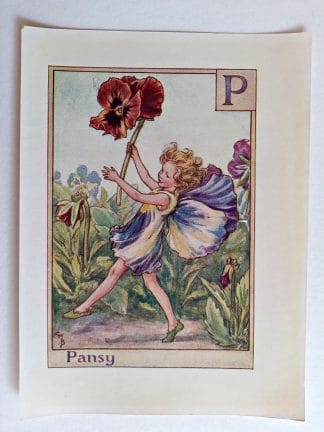Pansy Fairies Print