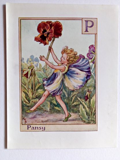Pansy Fairy Print