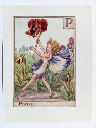 Pansy Flower Fairy Print
