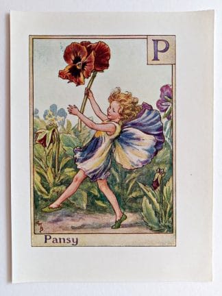 Pansy Vintage Flower Fairy Print