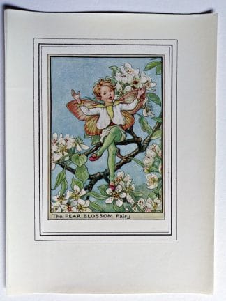 Pear Blossom Fairy Print