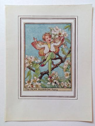 Pear Blossom Vintage Flower Fairy Print