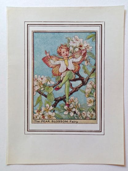 Pear Blossom Vintage Flower Fairy Print