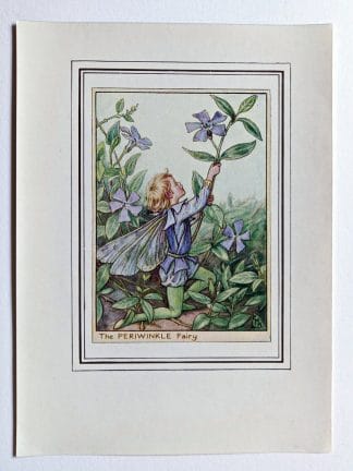 Periwinkle Fairy Print