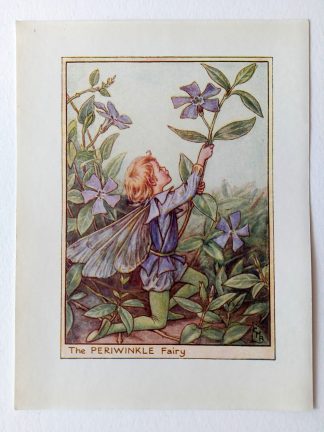 Periwinkle Flower Fairy Print