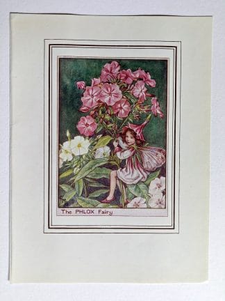 Phlox Fairies Print