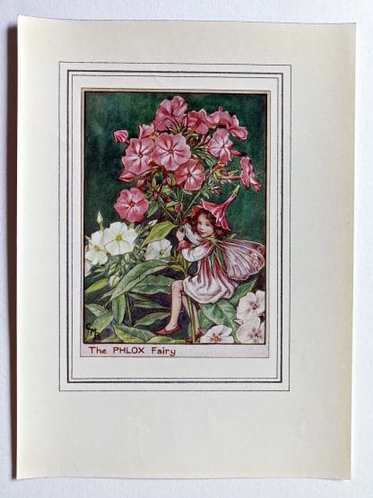 Phlox Fairy Print