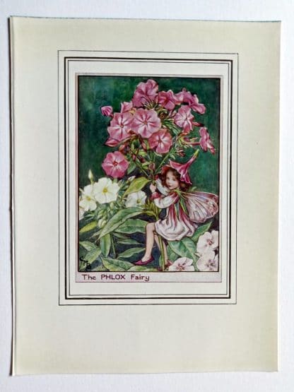 Phlox Vintage Fairy Print