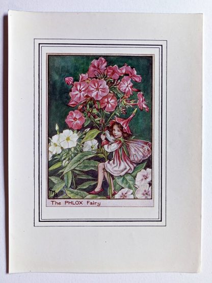 Phlox Vintage Flower Fairy Print