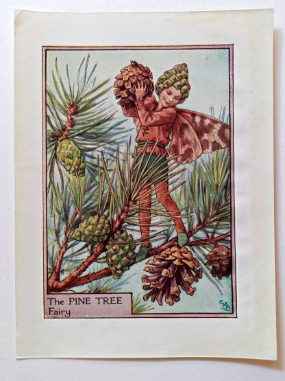 Pine Tree Fairies Print