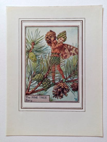 Pine Tree Fairy Print