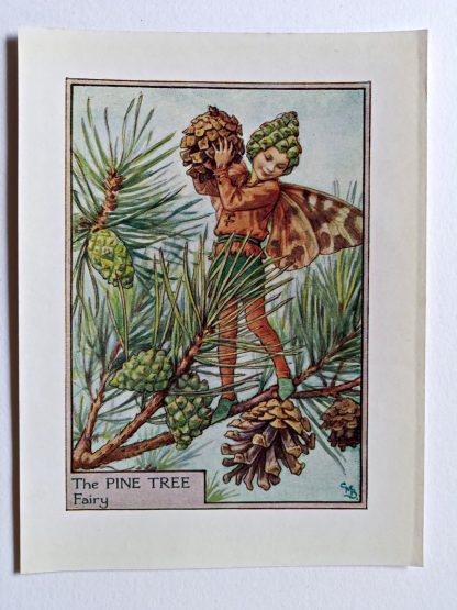 Pine Tree Flower Fairy Print
