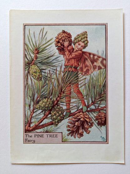 Pine Tree Vintage Flower Fairy Print