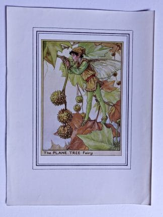 Plane Tree Fairies Print