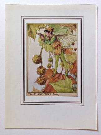 Plane Tree Vintage Fairy Print
