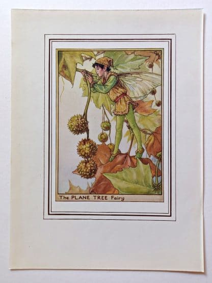 Plane Tree Vintage Fairy Print